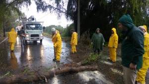 fcc29704-af73-4bb3-93a8-45362648d068