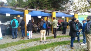 WhatsApp-Image-20160513 (10)