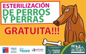 esterilizacion web