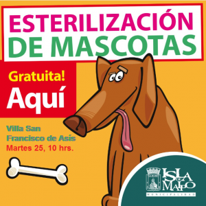 esterilizacion san fco asis perros