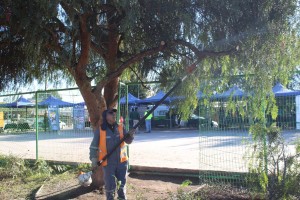 18953516_1750239758386168_6167267933726849533_o