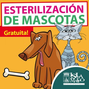 2 x 2 esterilizacion