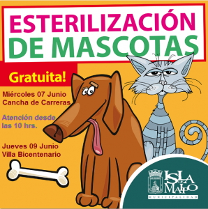 perros y gastos esterilizacion carreras y bicentenario
