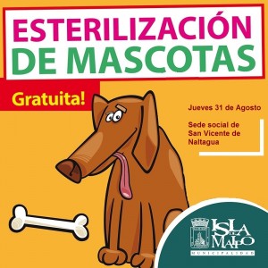 2 x 2 esterilizacion